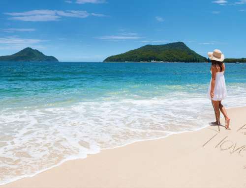 Hire Bus, Minibus and Coach for Port Stephens Visit from Sydney