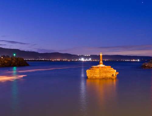 Hire bus and charter coaches for Wollongong and Kiama Tours from Sydney Coaches