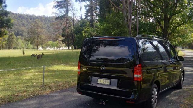 7s Viano 7s Viano
